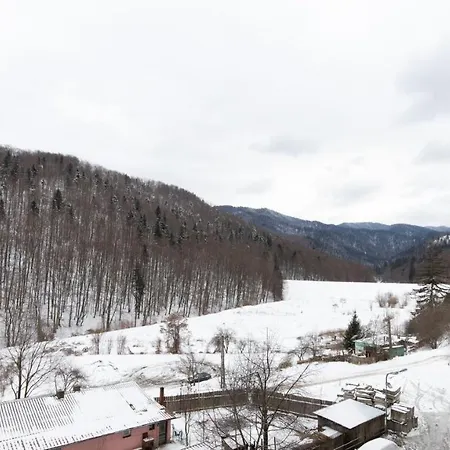 Tampa Gardens Superb View For Nature Lovers Braşov